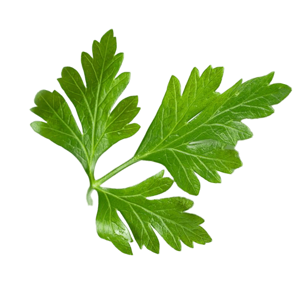 https://desmondschubert.de/wp-content/uploads/2023/03/parsley-l.png